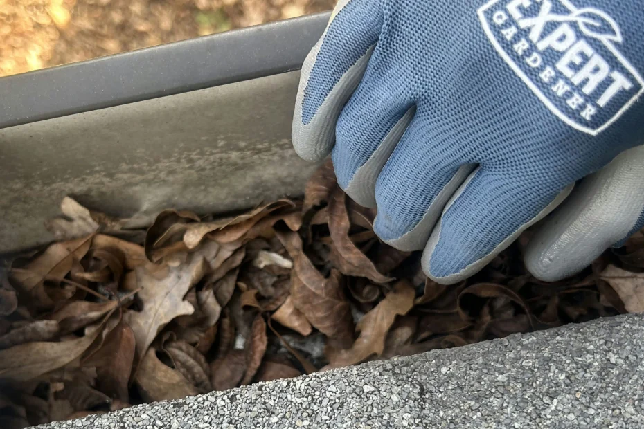 Gutter Cleaning Somerville