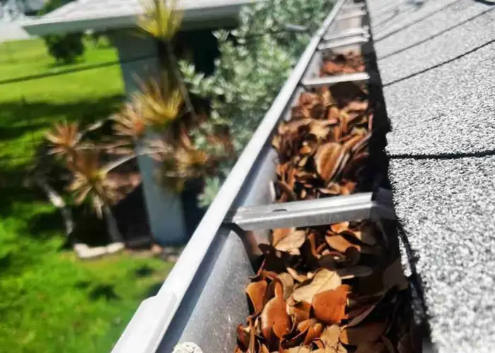 Gutter Cleaning Somerville home page